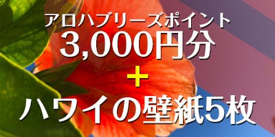 ハワイを 感じられる 新たなサイトを立ち上げたい Campfire キャンプファイヤー ハワイを 感じられる 新たなサイトを立ち上げたい Campfire キャンプファイヤー
