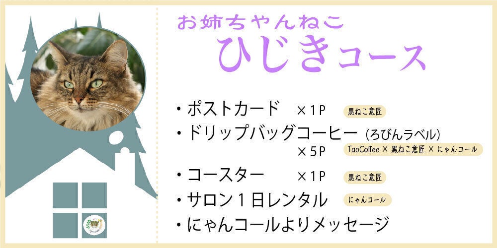 新しい家族探しを余儀なくされた高齢の闘病猫たちを守りたい