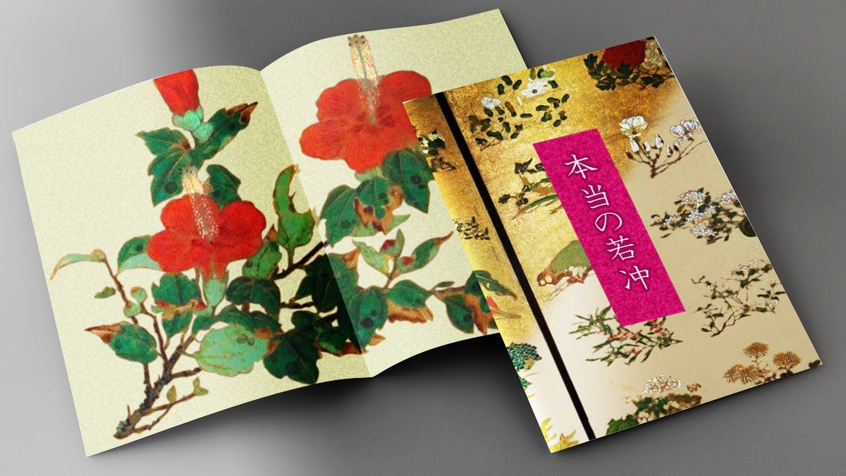 花丸図 限定復元作品のお披露目 19日21時 ライブ配信 Campfire キャンプファイヤー 花丸図 限定復元作品のお披露目 19日21時 ライブ配信 Campfire キャンプファイヤー