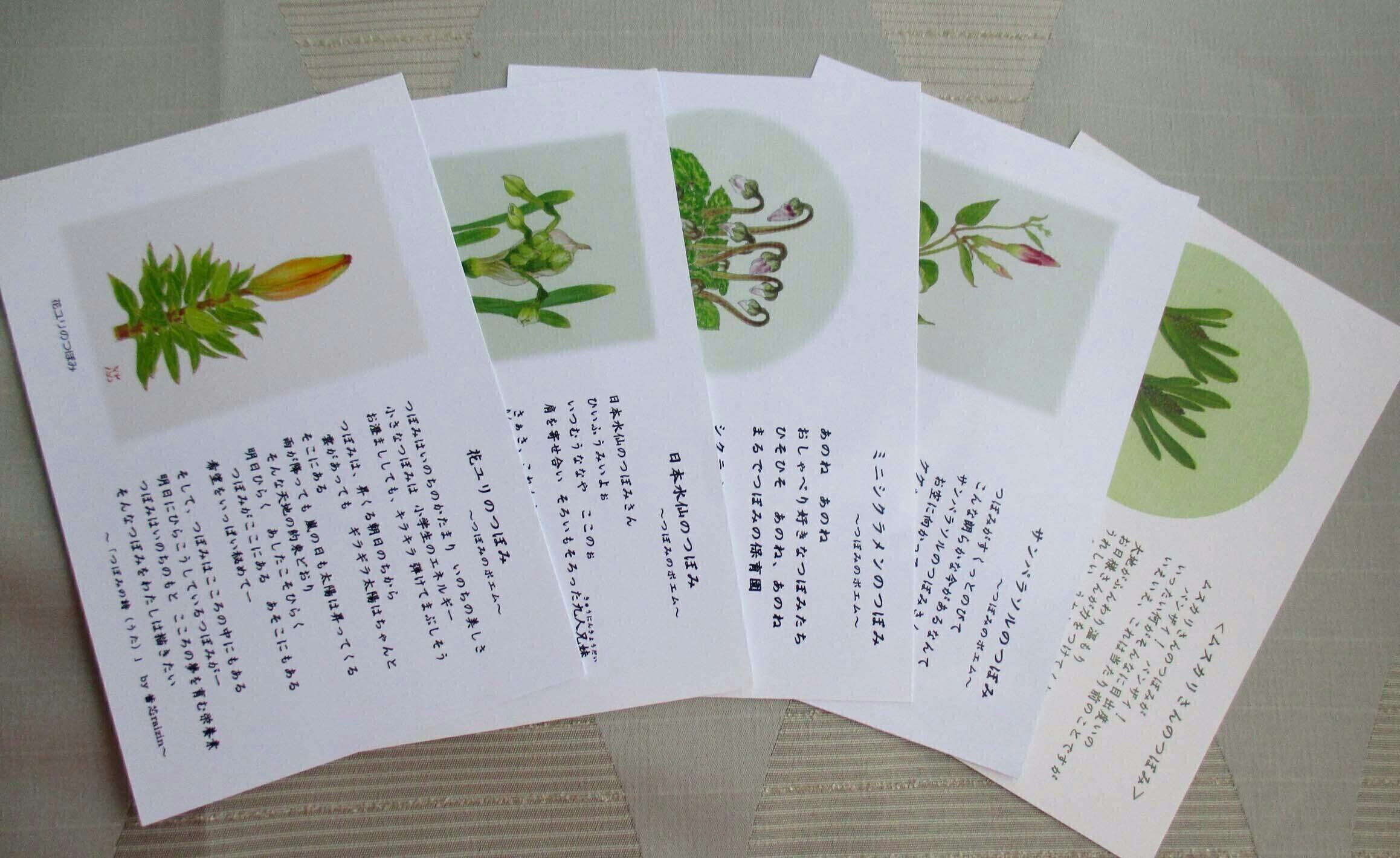 展示の出前 つぼみの絵と詩 施設内展示で全国の子どもたちにつぼみパワーを届けたいへのコメント Campfire キャンプファイヤー 展示の出前 つぼみの絵と詩 施設内展示で全国の子どもたちにつぼみパワーを届けたいへのコメント Campfire キャンプファイヤー