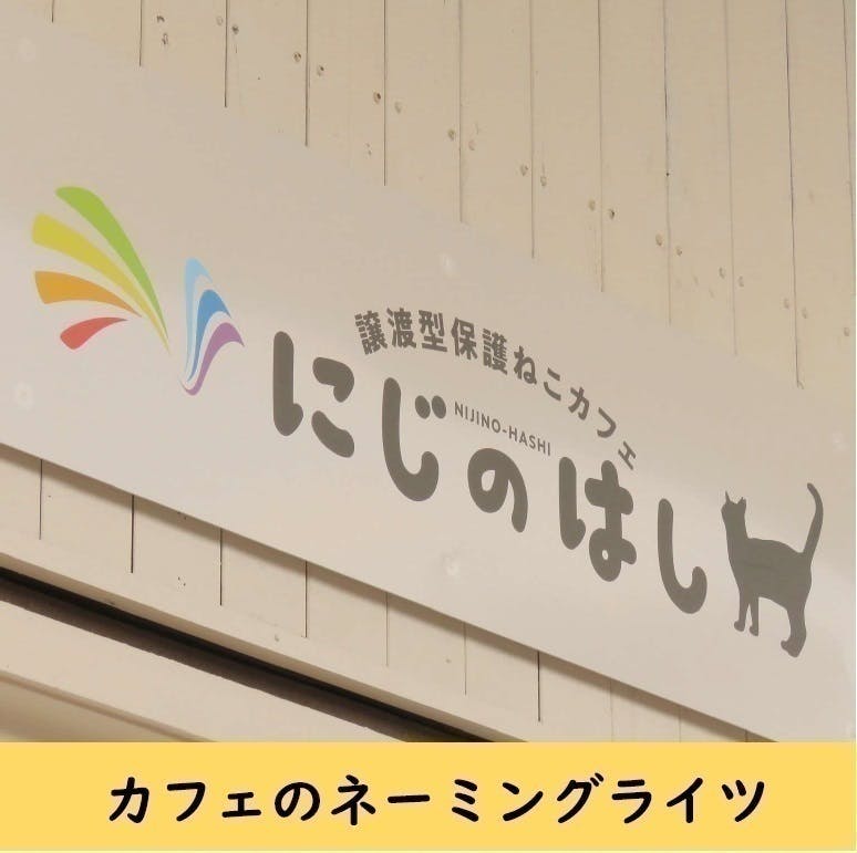 平塚の飼い主のいないねこちゃん達を減らす活動を継続したい Campfire キャンプファイヤー 平塚の飼い主のいないねこちゃん達を減らす活動を継続したい Campfire キャンプファイヤー