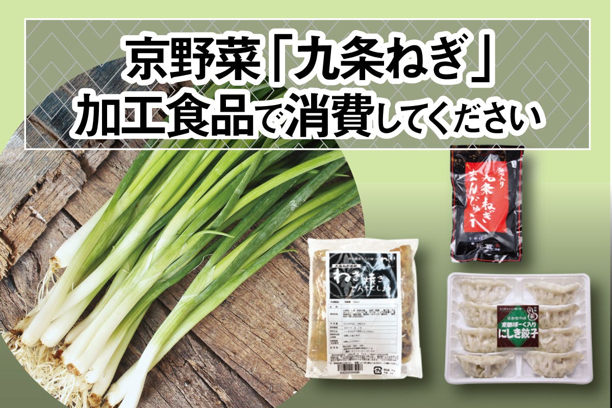 千葉県産泥ネギ7kg 最大75％オフ！ - 野菜