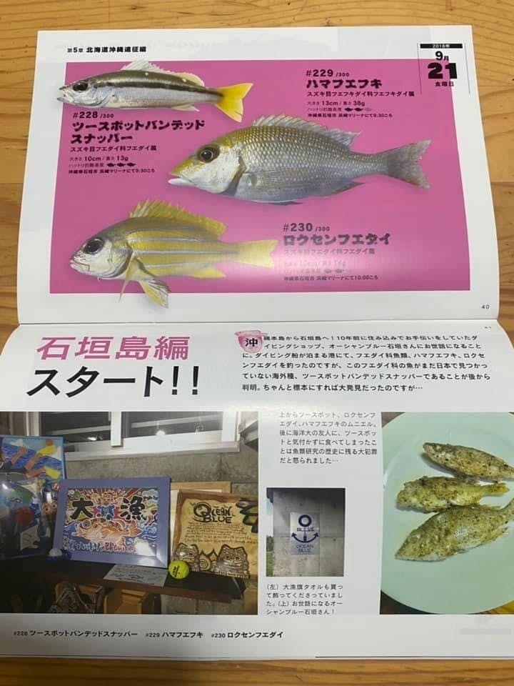 実際に食べた0種類の深海生物を紹介する書籍をつくり鯛 Campfire キャンプファイヤー