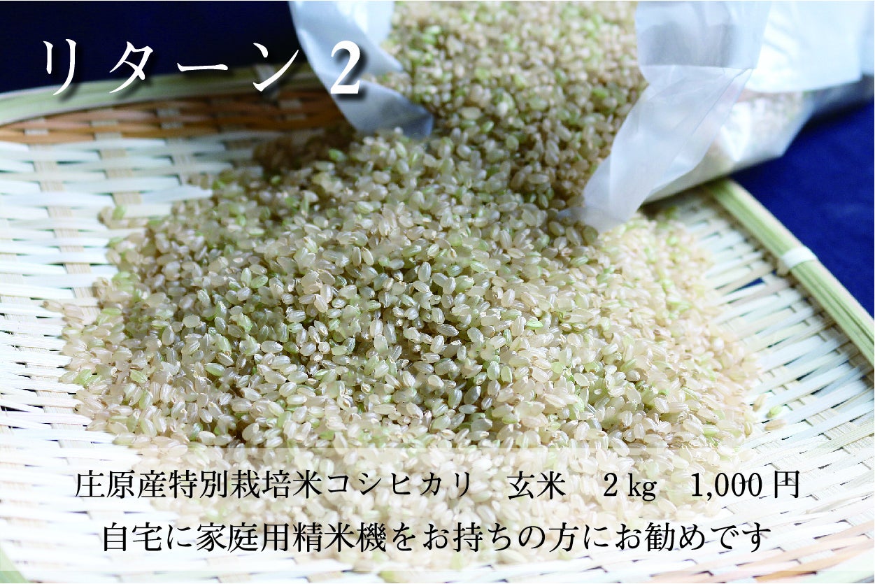 リターン画像