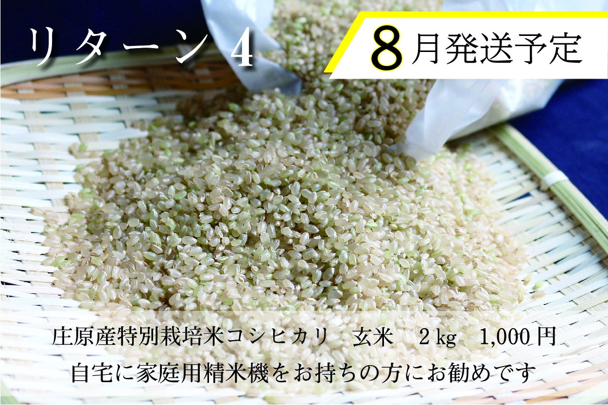 リターン画像