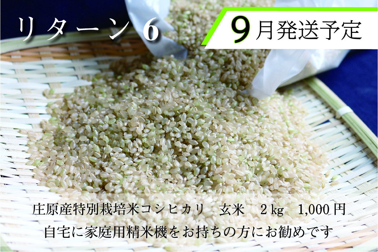 リターン画像