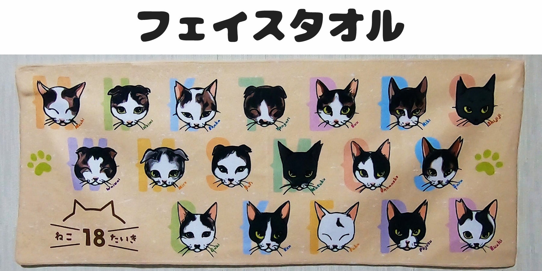 母が急逝し18匹の猫を保護しています この子達との活動費ご助力お願いいたします Campfire キャンプファイヤー 母が急逝し18匹の猫を保護しています この子達との活動費ご助力お願いいたします Campfire キャンプファイヤー