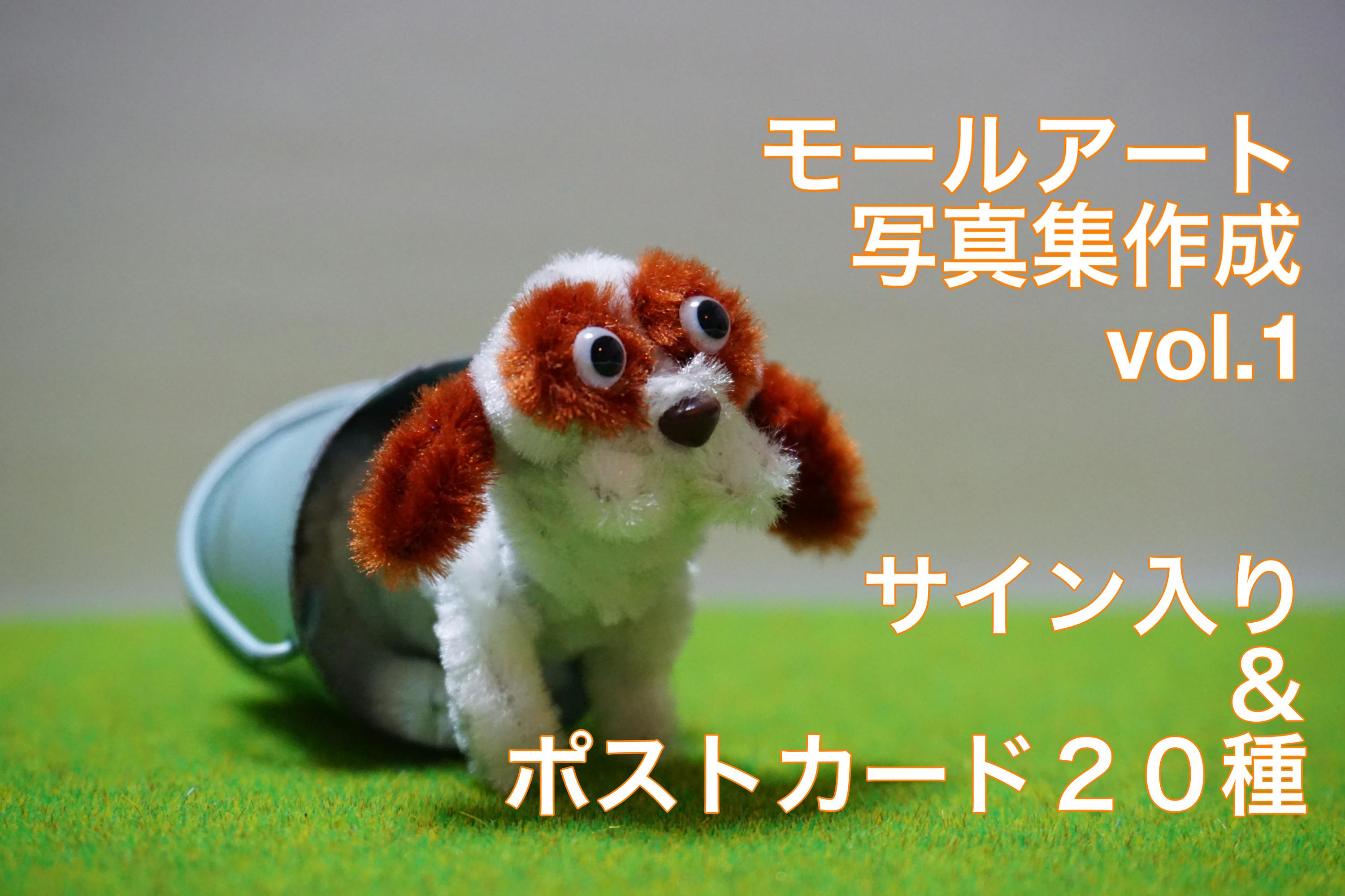 モールアート写真集作成計画vol 1 Campfire キャンプファイヤー モールアート写真集作成計画vol 1 Campfire キャンプファイヤー