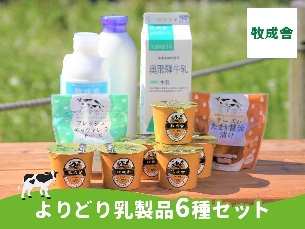 2400円 最大81%OFFクーポン ふるさと納税 飛騨市 飛騨の牛乳屋 ヨーグルト