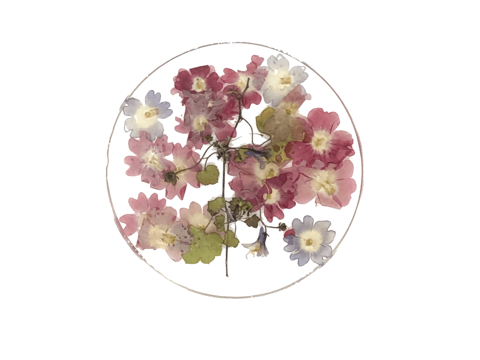 プロジェクト期間の半分の日数が過ぎました Campfire キャンプファイヤー