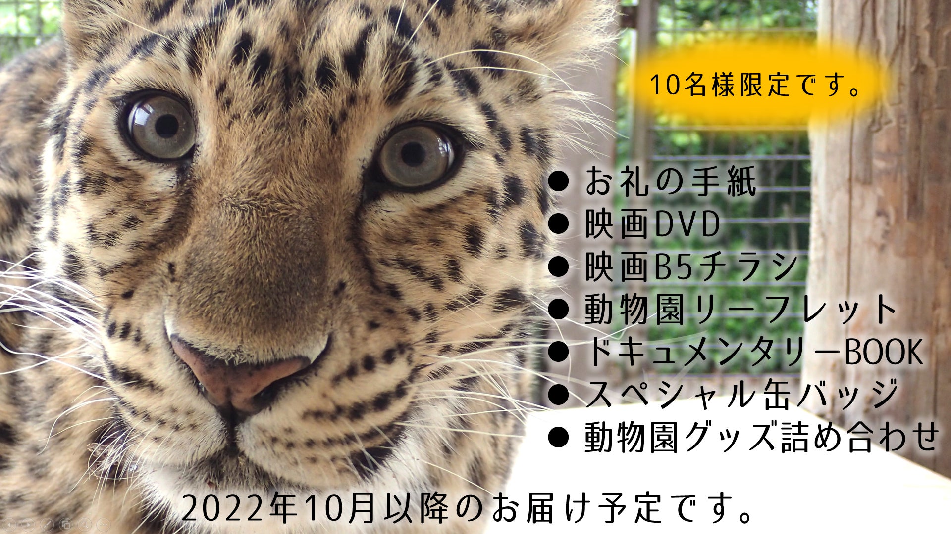 大牟田市動物園80周年 ドキュメンタリー映画を製作して動物福祉をもっと伝えたい Campfire キャンプファイヤー 大牟田市動物園80周年 ドキュメンタリー映画を製作して動物福祉をもっと伝えたい Campfire キャンプファイヤー