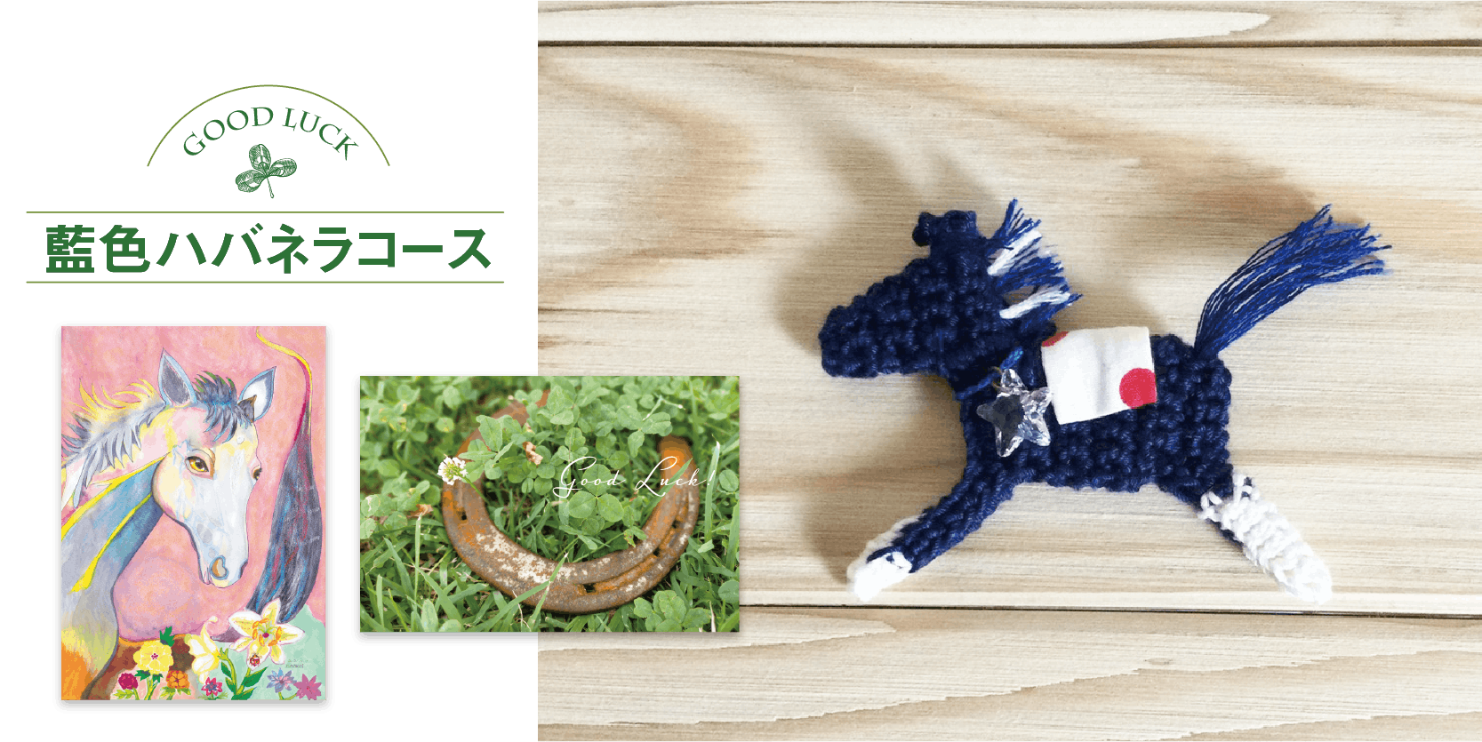 骨折して走れなくなった競技馬の命と瞳の輝きを支える ハバネラの会 を作りたい Campfire キャンプファイヤー 骨折して走れなくなった競技馬の命と瞳の輝きを支える ハバネラの会 を作りたい Campfire キャンプファイヤー