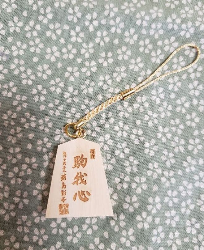 【将棋】初代女流名人・蛸島彰子の足跡をたどる書籍出版プロジェクト【将棋】初代女流名人・蛸島彰子の足跡をたどる書籍出版プロジェクト