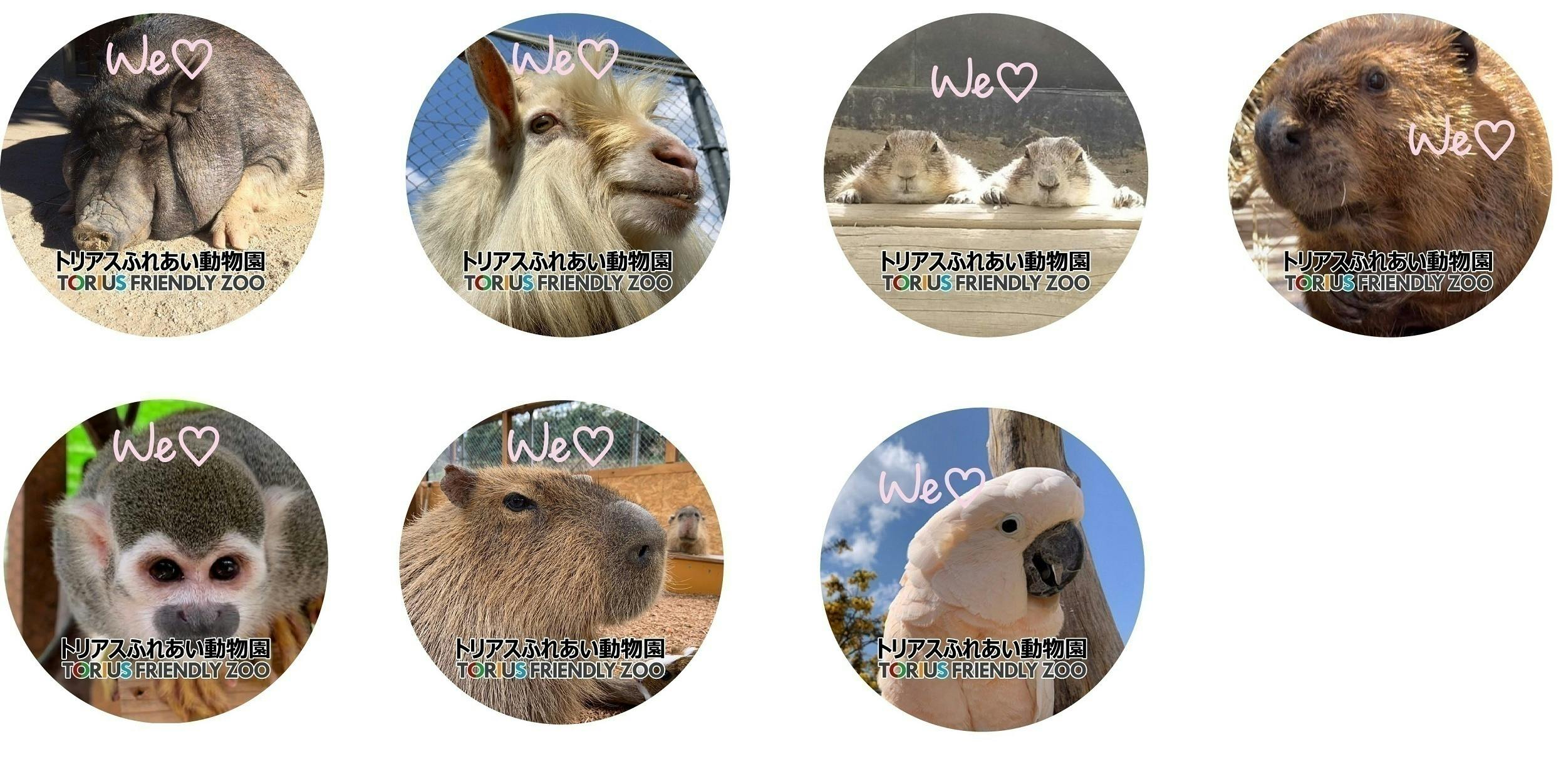 森の天才建築家 ビーバー家族の楽しみを増やして ビーバーの聖地を目指す Campfire キャンプファイヤー 森の天才建築家 ビーバー家族の楽しみを増やして ビーバーの聖地を目指す Campfire キャンプファイヤー