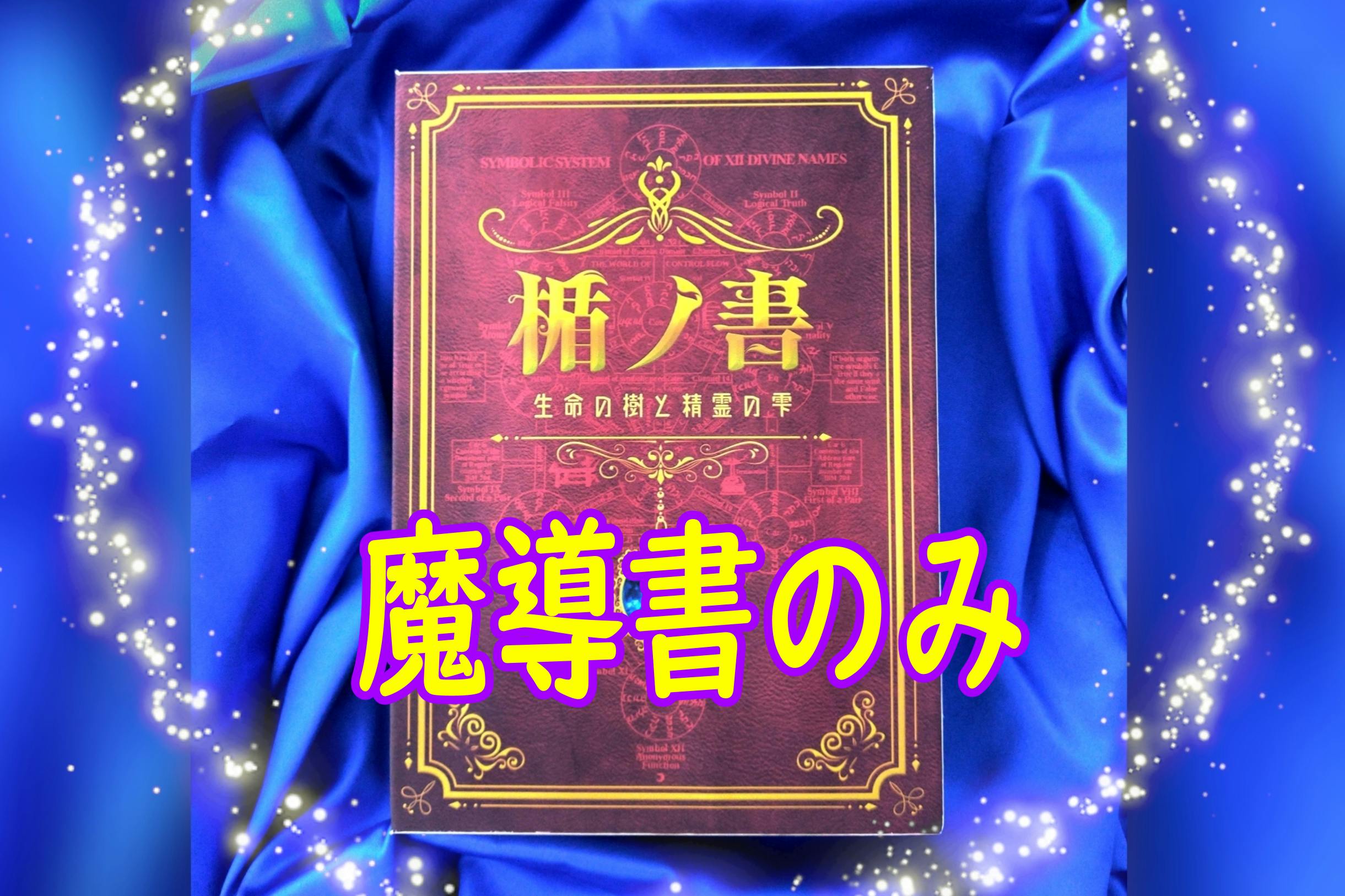 防災食 Gamer 本棚に飾って備える魔導書風防災食セット 楯ノ書 Campfire キャンプファイヤー