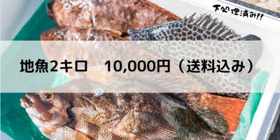 南伊豆で獲れる「まだ知られていない地魚」をたくさんの人に味わって 