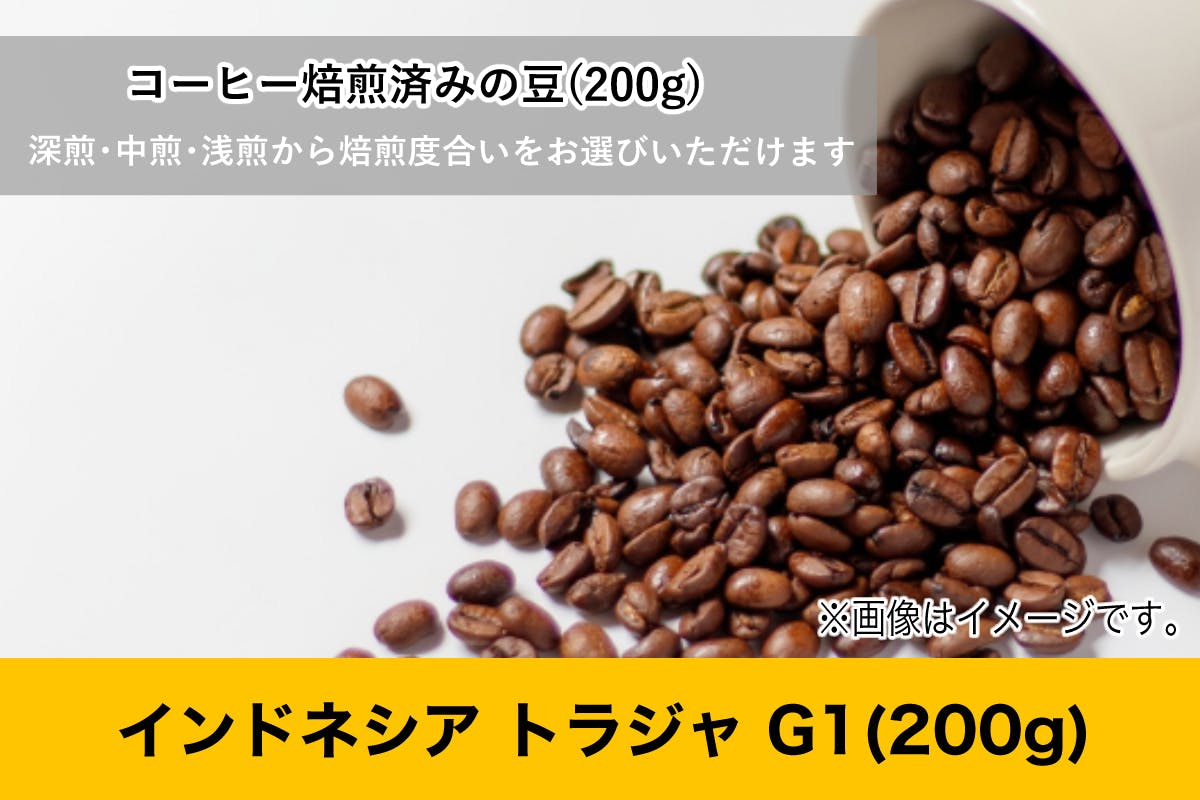 最高級のスーパー G1生豆 ５００ｇ】 トラジャ 【焙煎器とインドネシア - コーヒー