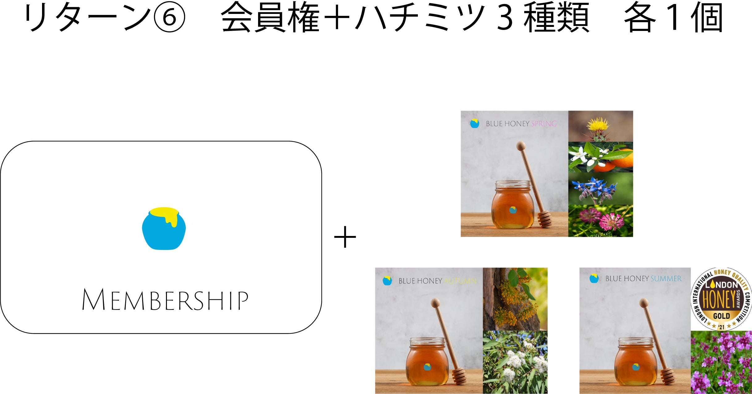 リターン画像