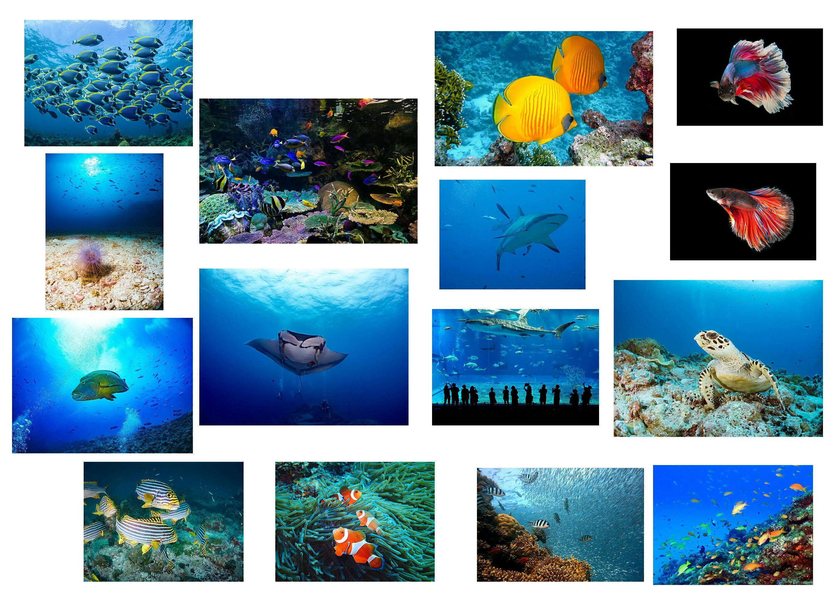 フォトバッシュという技法を使ったオリジナル作品のアートネットショップを作りたいへのコメント Campfire キャンプファイヤー フォトバッシュという技法を使ったオリジナル作品のアートネットショップを作りたいへのコメント Campfire キャンプファイヤー