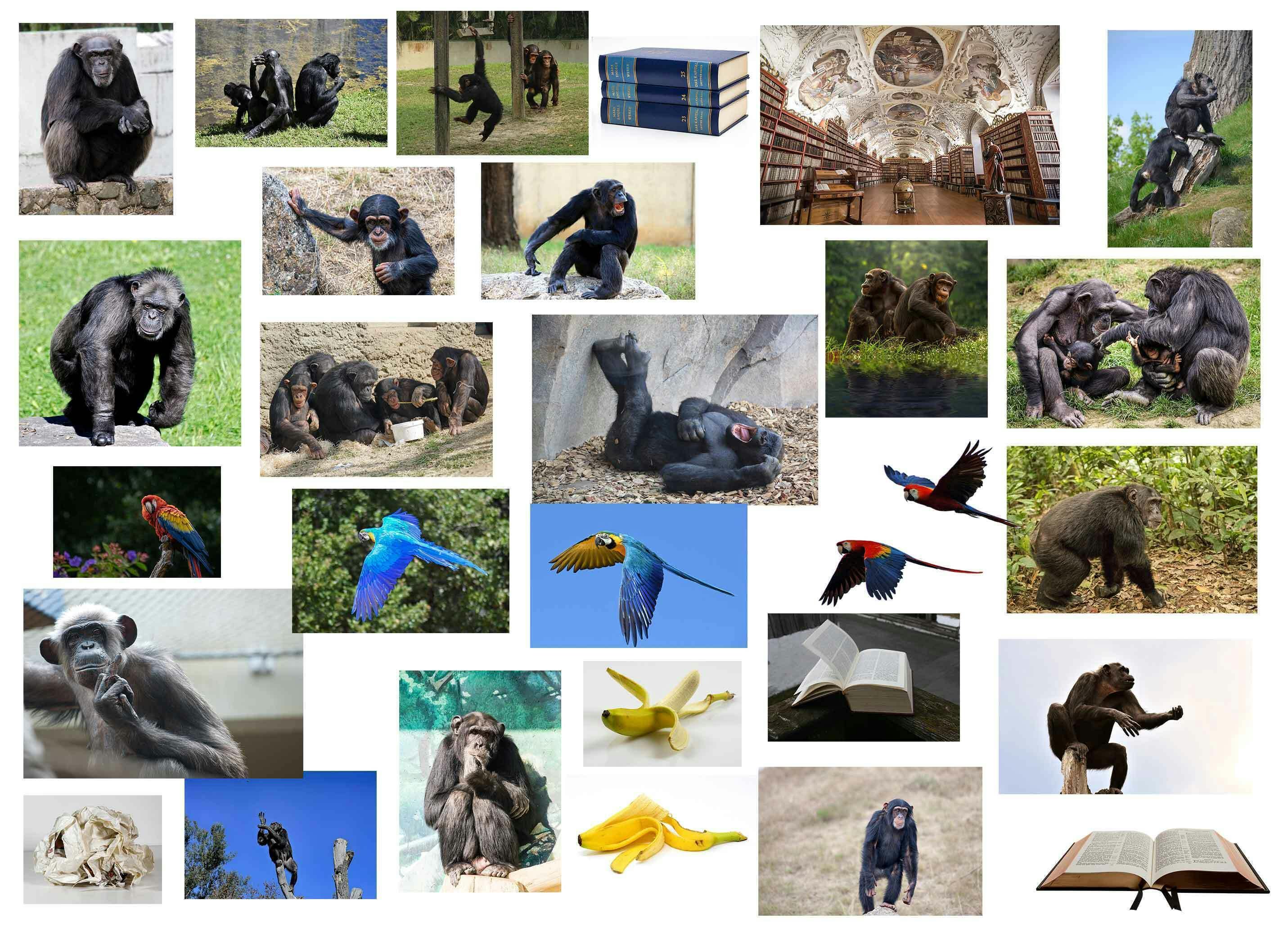 フォトバッシュという技法を使ったオリジナル作品のアートネットショップを作りたいへのコメント Campfire キャンプファイヤー フォトバッシュという技法を使ったオリジナル作品のアートネットショップを作りたいへのコメント Campfire キャンプファイヤー