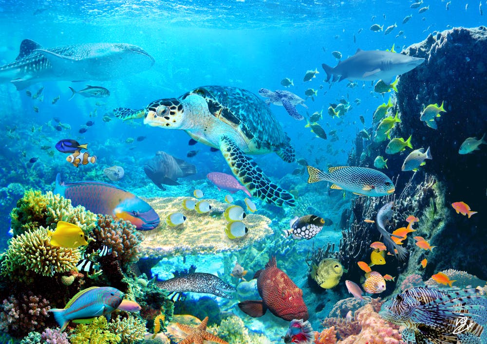 フォトバッシュという技法を使ったオリジナル作品のアートネットショップを作りたいへのコメント Campfire キャンプファイヤー フォトバッシュという技法を使ったオリジナル作品のアートネットショップを作りたいへのコメント Campfire キャンプファイヤー