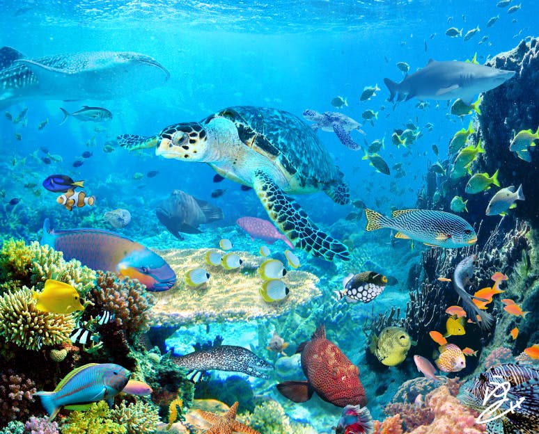 フォトバッシュという技法を使ったオリジナル作品のアートネットショップを作りたいへのコメント Campfire キャンプファイヤー フォトバッシュという技法を使ったオリジナル作品のアートネットショップを作りたいへのコメント Campfire キャンプファイヤー