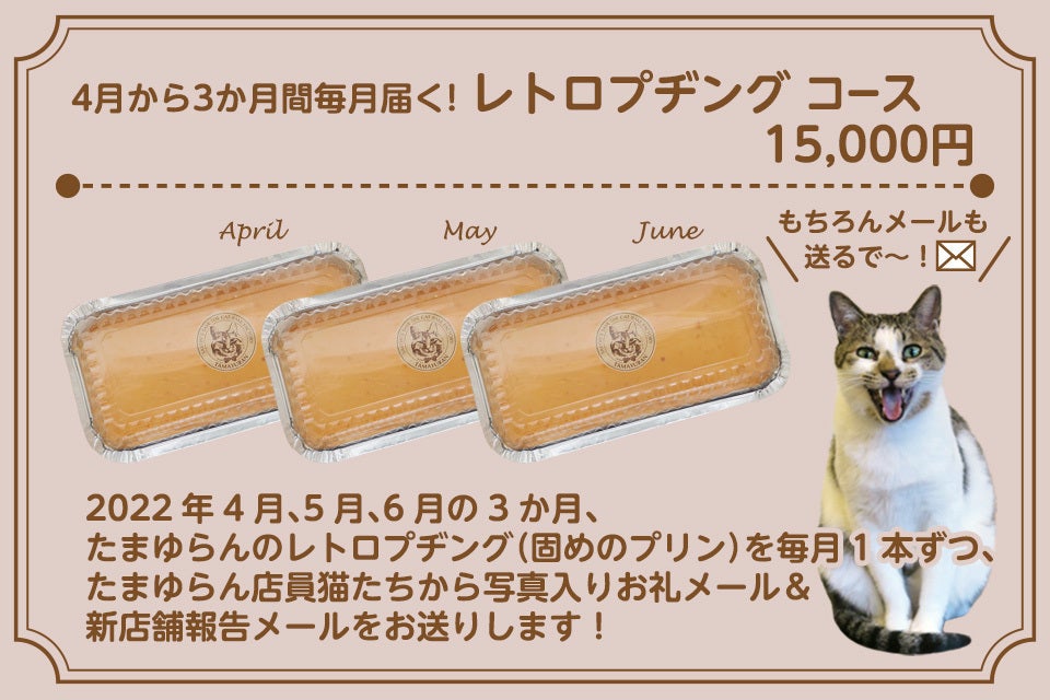 京都 防空壕が残る築130年の町家を引き継ぎ 猫達を守るカフェを復活させたい Campfire キャンプファイヤー 京都 防空壕が残る築130年の町家を引き継ぎ 猫達を守るカフェを復活させたい Campfire キャンプファイヤー