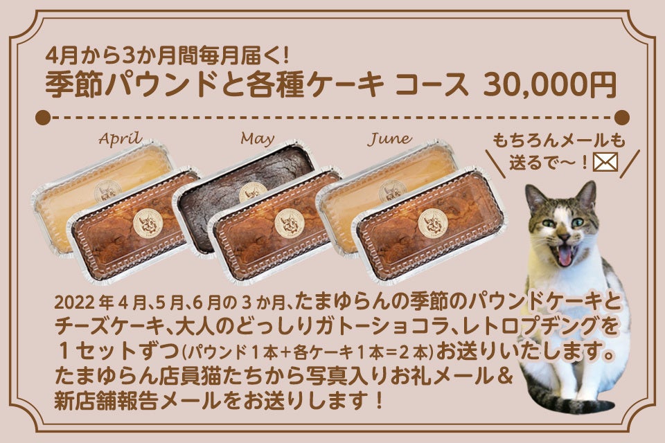 京都 防空壕が残る築130年の町家を引き継ぎ 猫達を守るカフェを復活させたい Campfire キャンプファイヤー 京都 防空壕が残る築130年の町家を引き継ぎ 猫達を守るカフェを復活させたい Campfire キャンプファイヤー