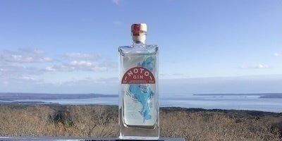 能登の里山里海から爽快感あふれる「のとジン」100mlボトルを100人に