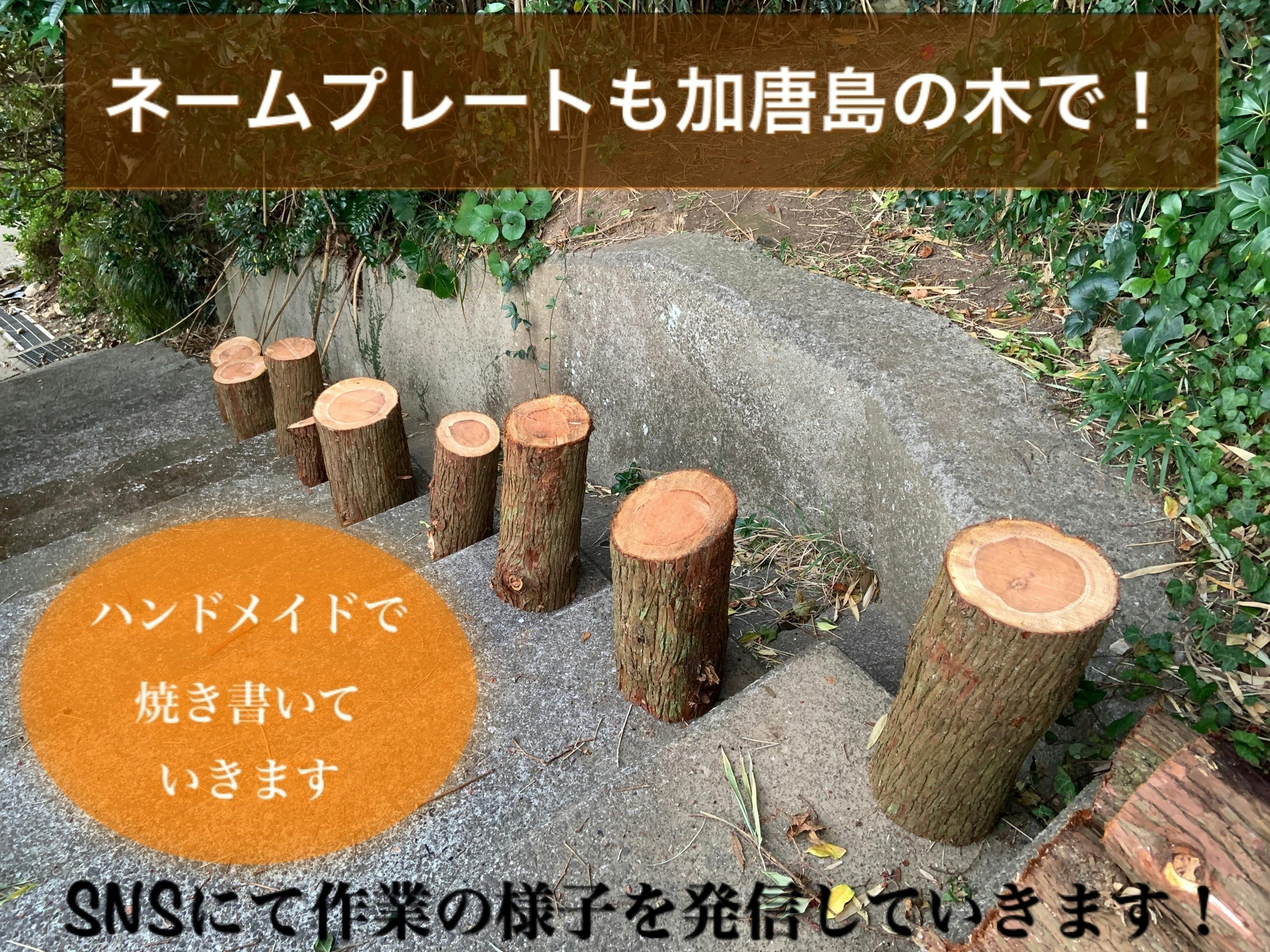 佐賀県最北端の加唐島で絶品 島椿ピザ と 石臼コーヒー を堪能してもらいたい Campfire キャンプファイヤー