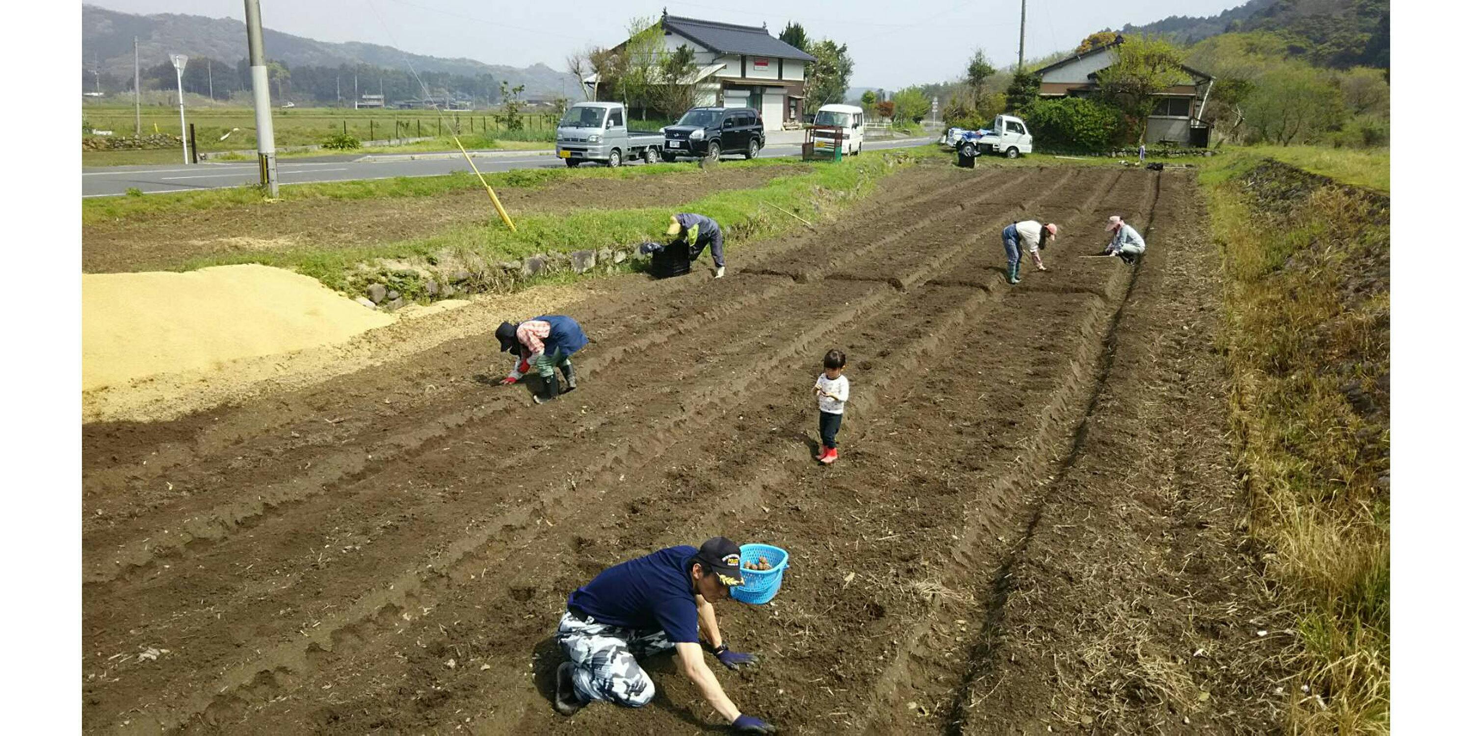 リターン画像