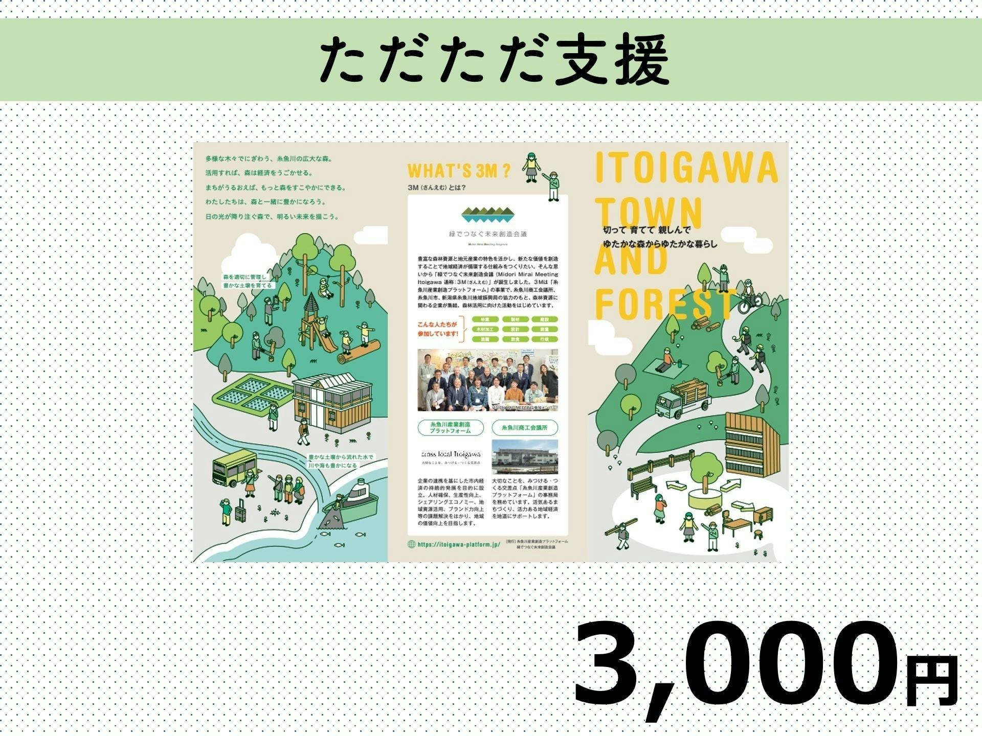わたしたちのまちを元気に、　糸魚川の森林資源で地域経済を動かしたい！　CAMPFIRE　(キャンプファイヤー)