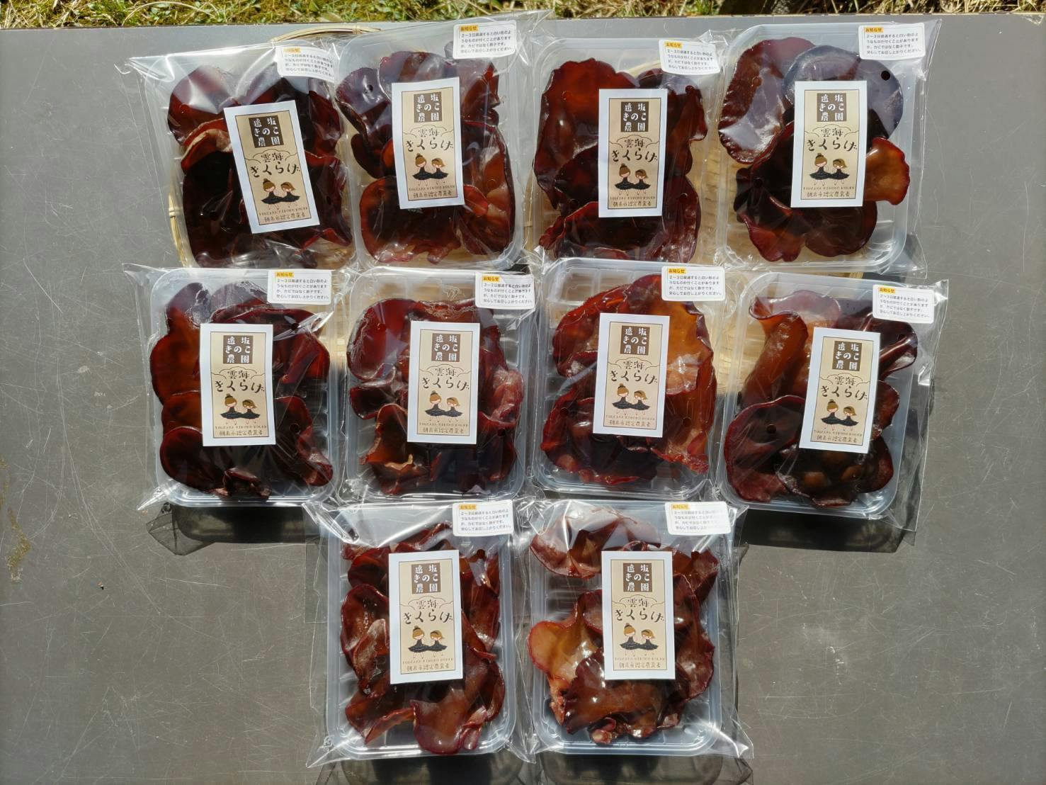 雲海きくらげを皆さまへ Campfire キャンプファイヤー 雲海きくらげを皆さまへ Campfire キャンプファイヤー