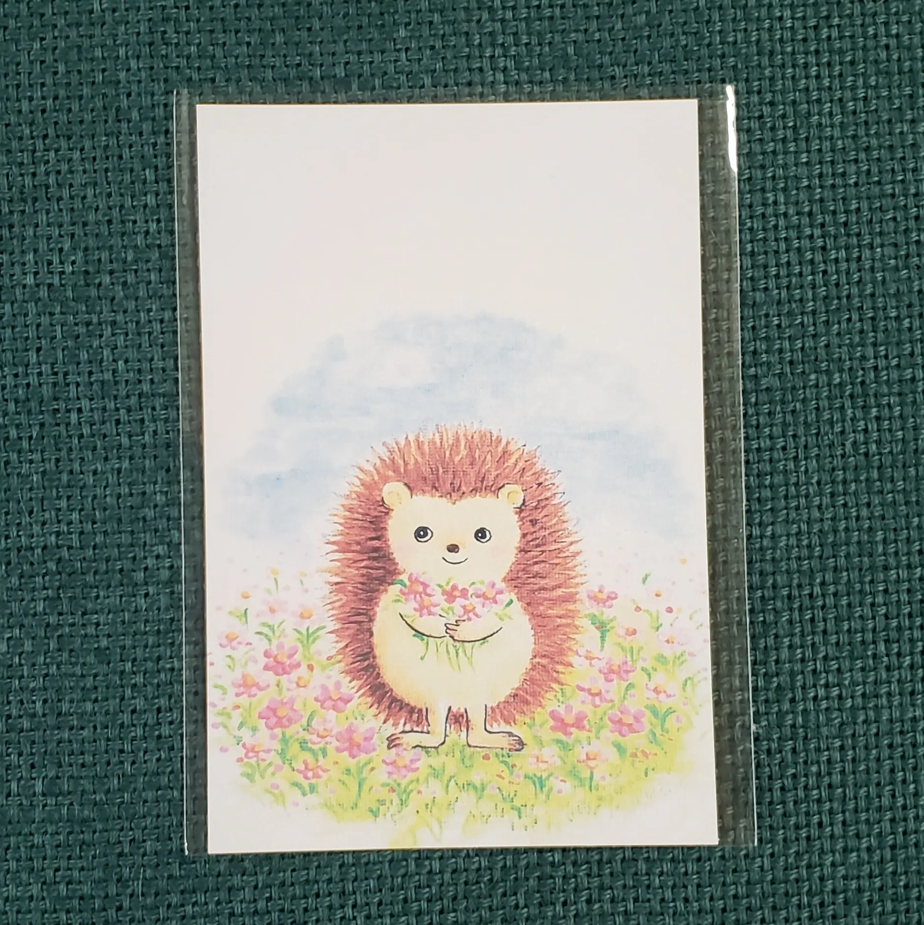 愛くるしいキャラクターの優しさが溢れる絵本 りっくんとハナちゃん を子どもたちに Campfire キャンプファイヤー 愛くるしいキャラクターの優しさが溢れる絵本 りっくんとハナちゃん を子どもたちに Campfire キャンプファイヤー