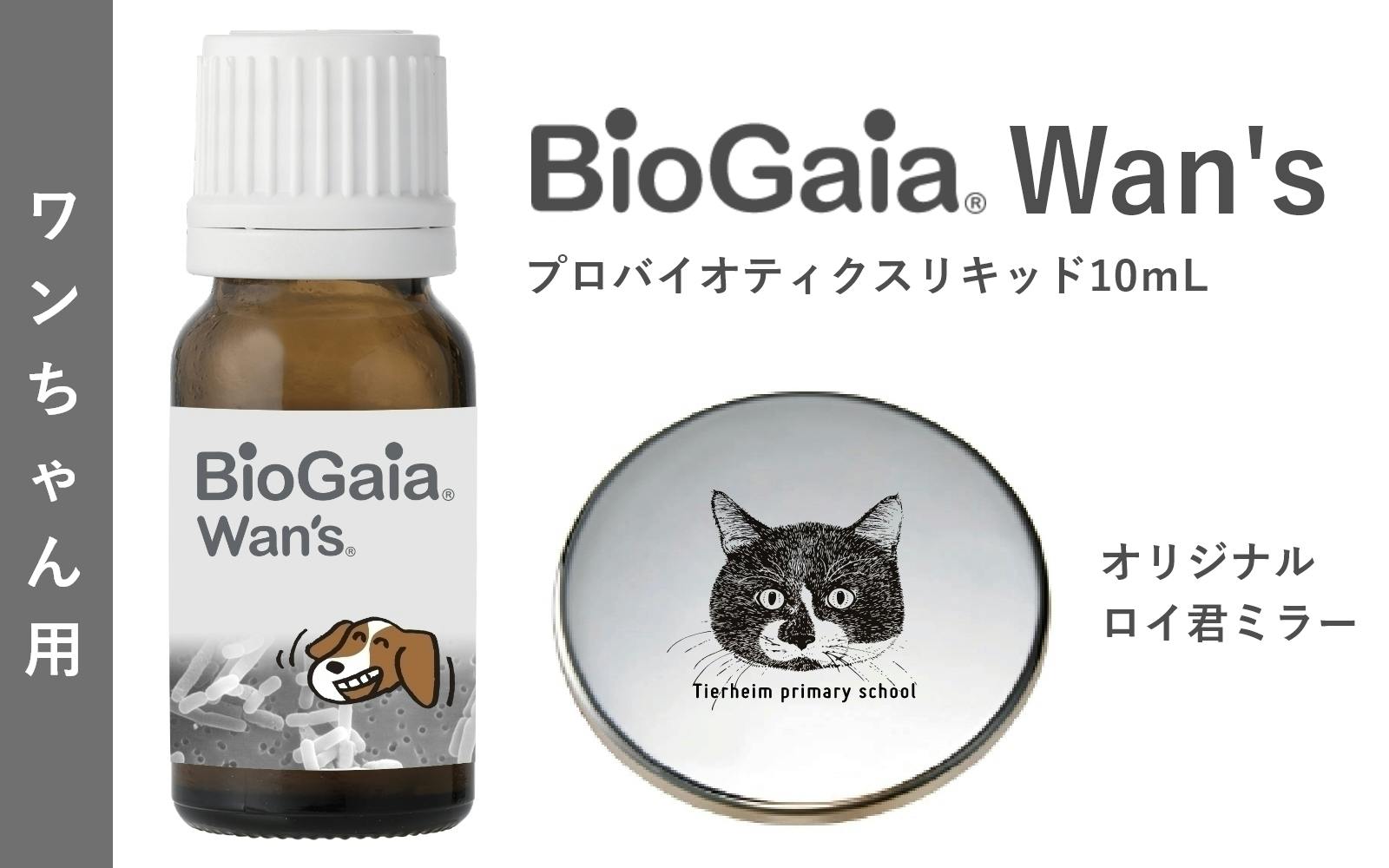 2本※【猫の虫歯歯周病予防】10mlロイテリ菌液タイプ - www.ariel.org.nz