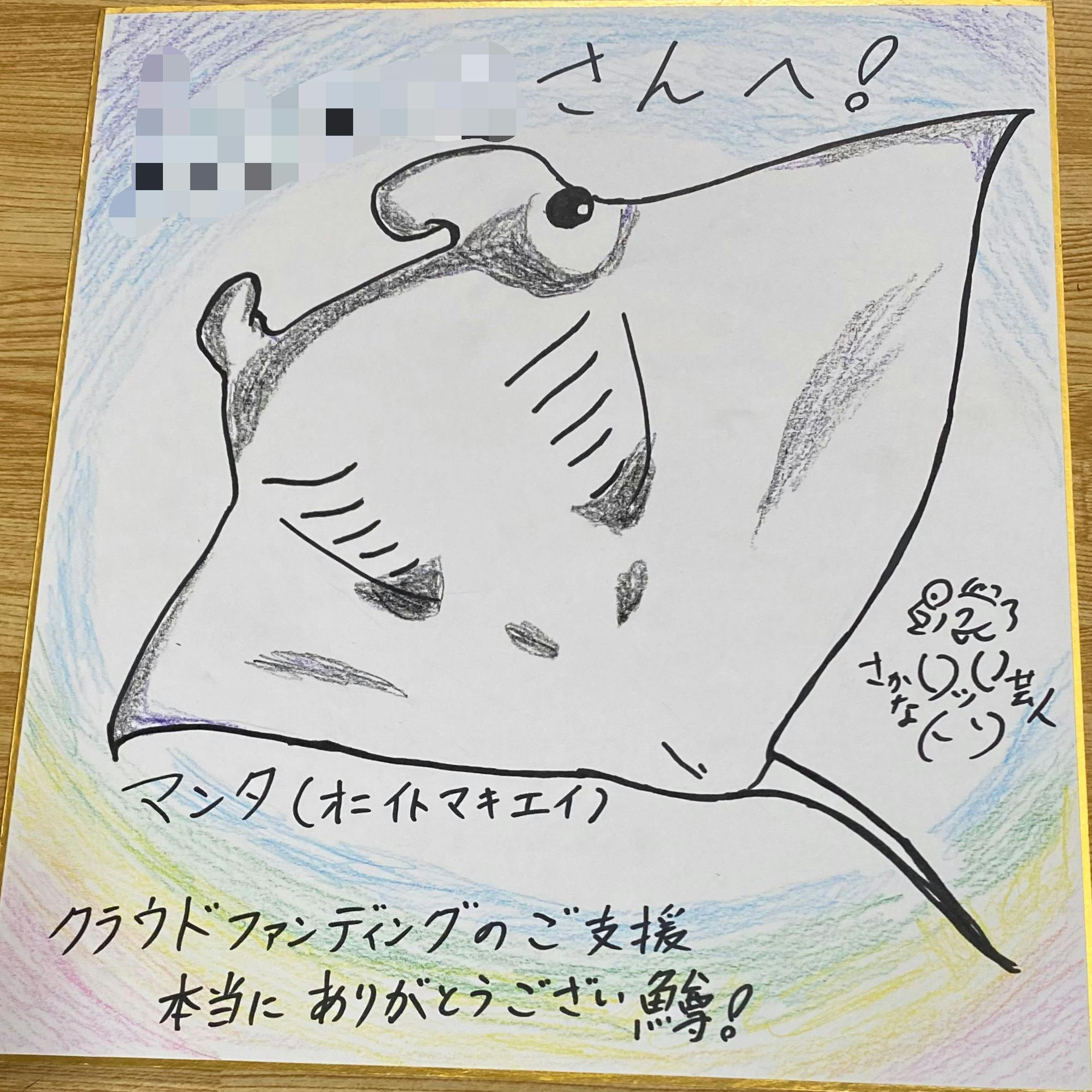 リターン画像