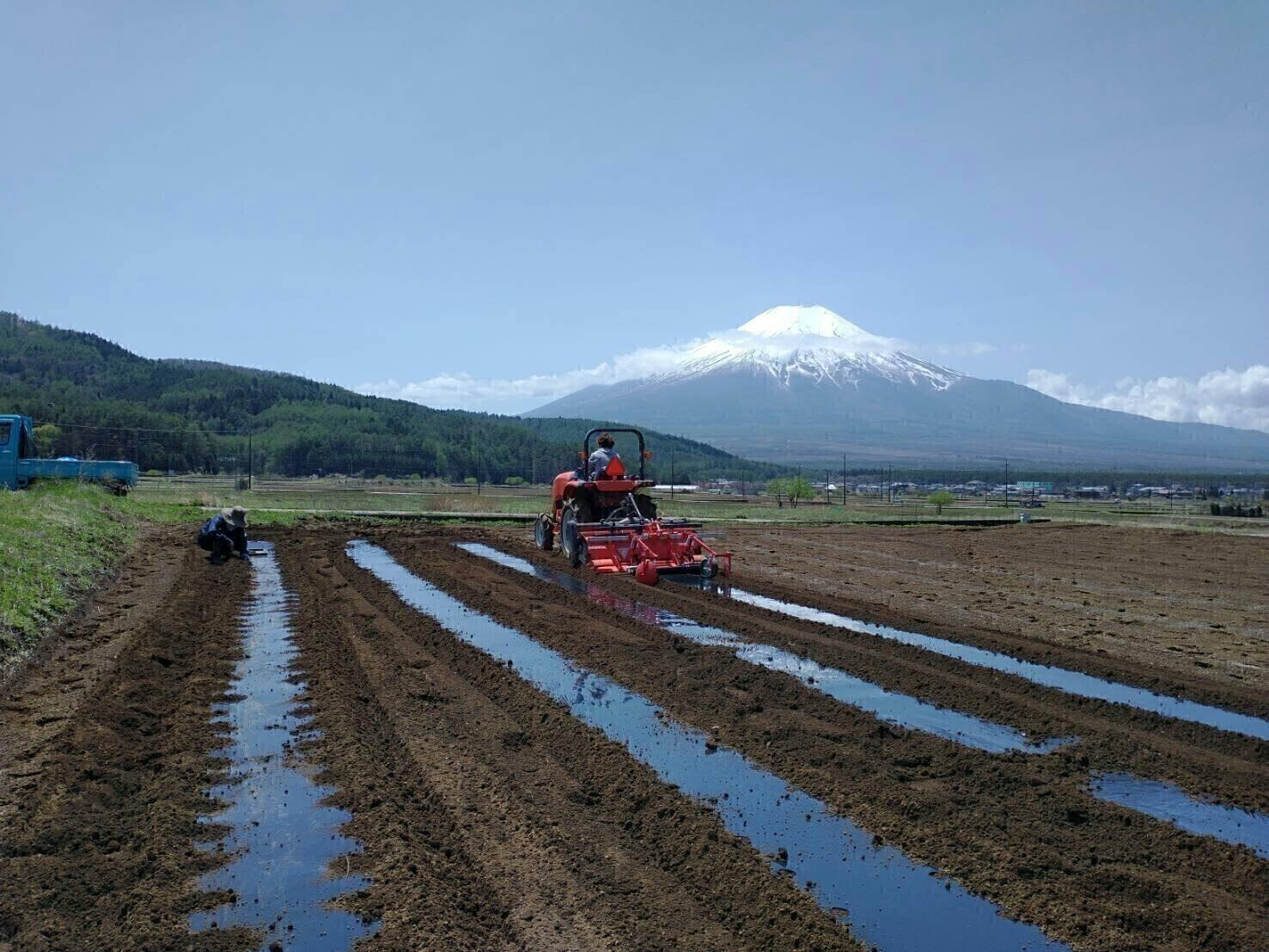 リターン画像