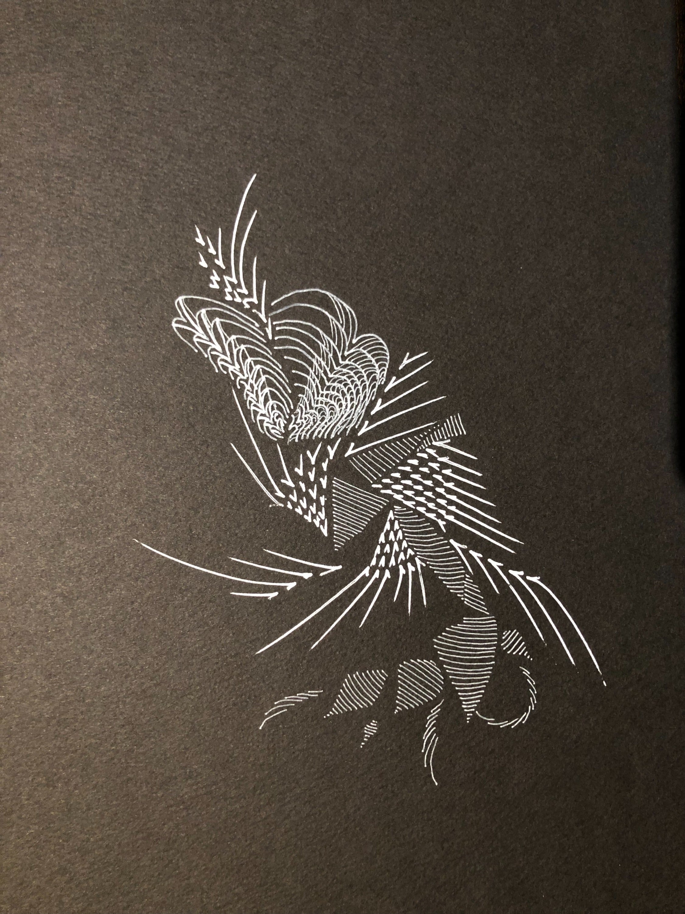リターン画像