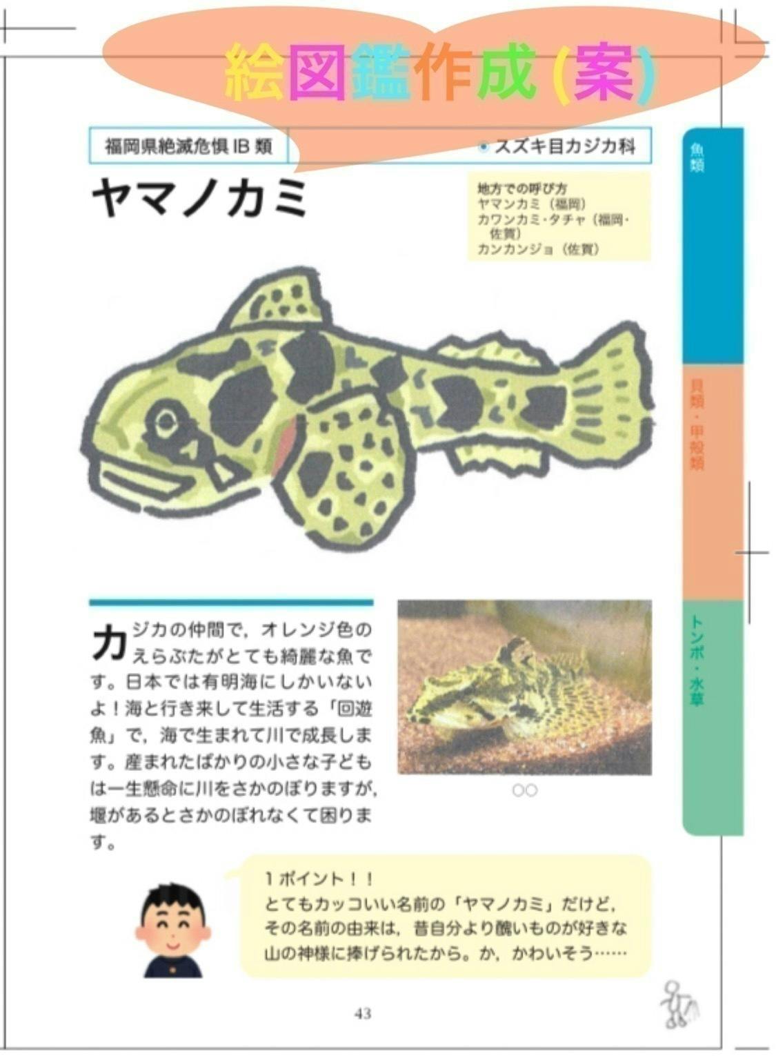 やながわ有明海水族館】高校生館長が絵図鑑で生き物ヲタク大増殖を