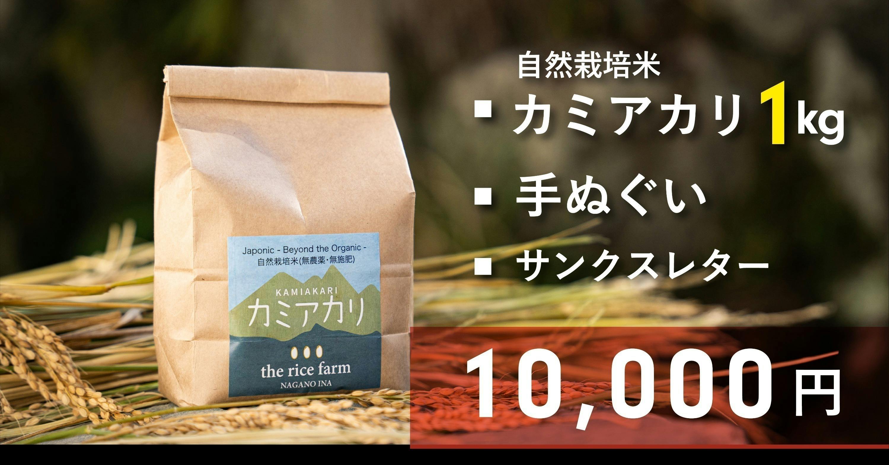 海外へ輸出するお米を作る長野の限界集落に、日本中そして世界中から足を運んで欲しいへのコメント　CAMPFIRE　(キャンプファイヤー)