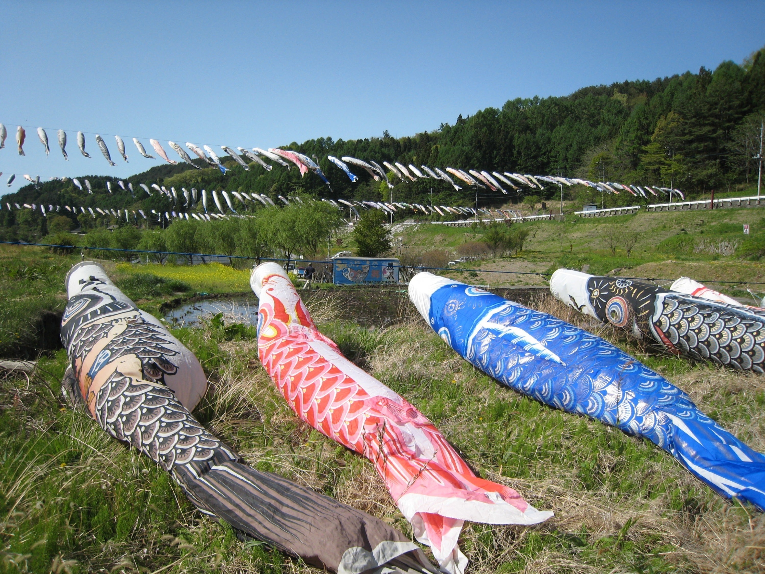 あなただけの名前入りの鯉のぼりを「鯉のぼりの郷」で泳がせてみません