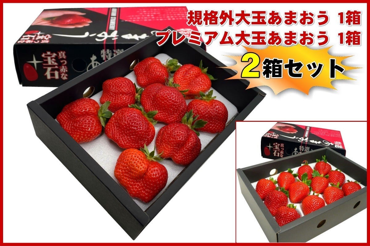 第2弾！おかげさまで目標300%達成！大きすぎて規格外大玉あまおうを