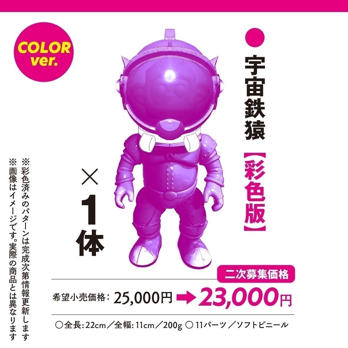 速報】宇宙鉄猿『〇〇〇〇』名前が決定しました！ - CAMPFIRE