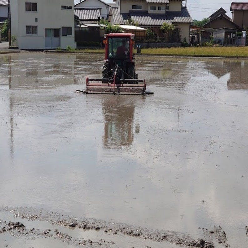 リターン画像