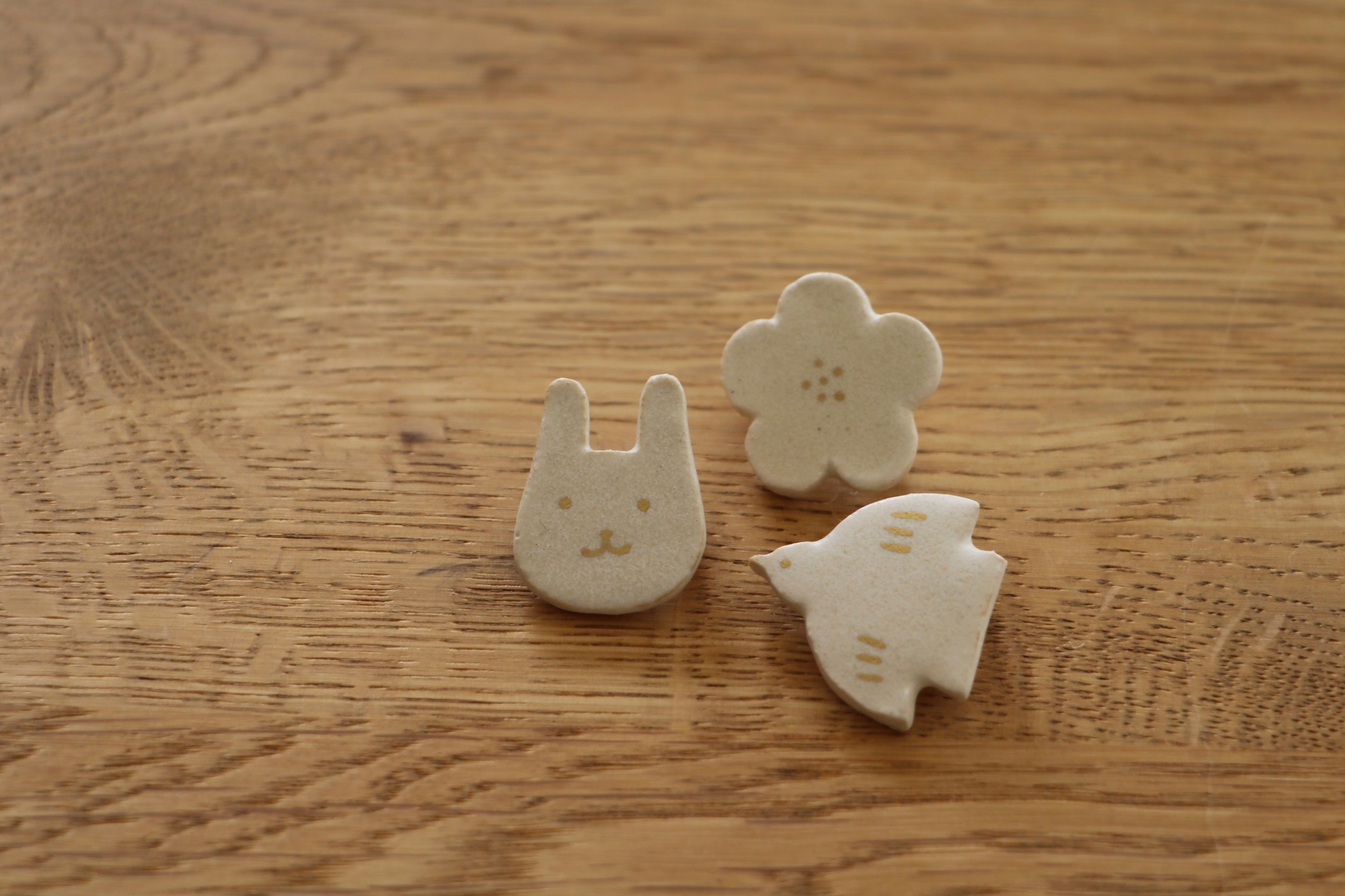 陶芸家佐野智子のcafe&galleryを葉山町にオープンします！ - CAMPFIRE