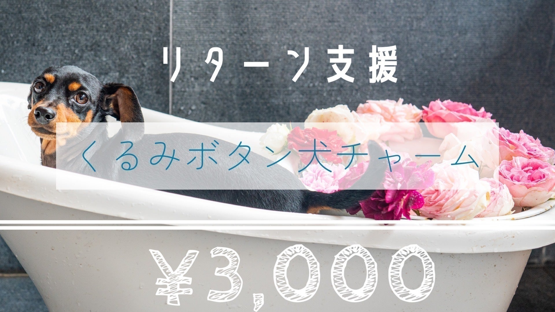 リターン画像