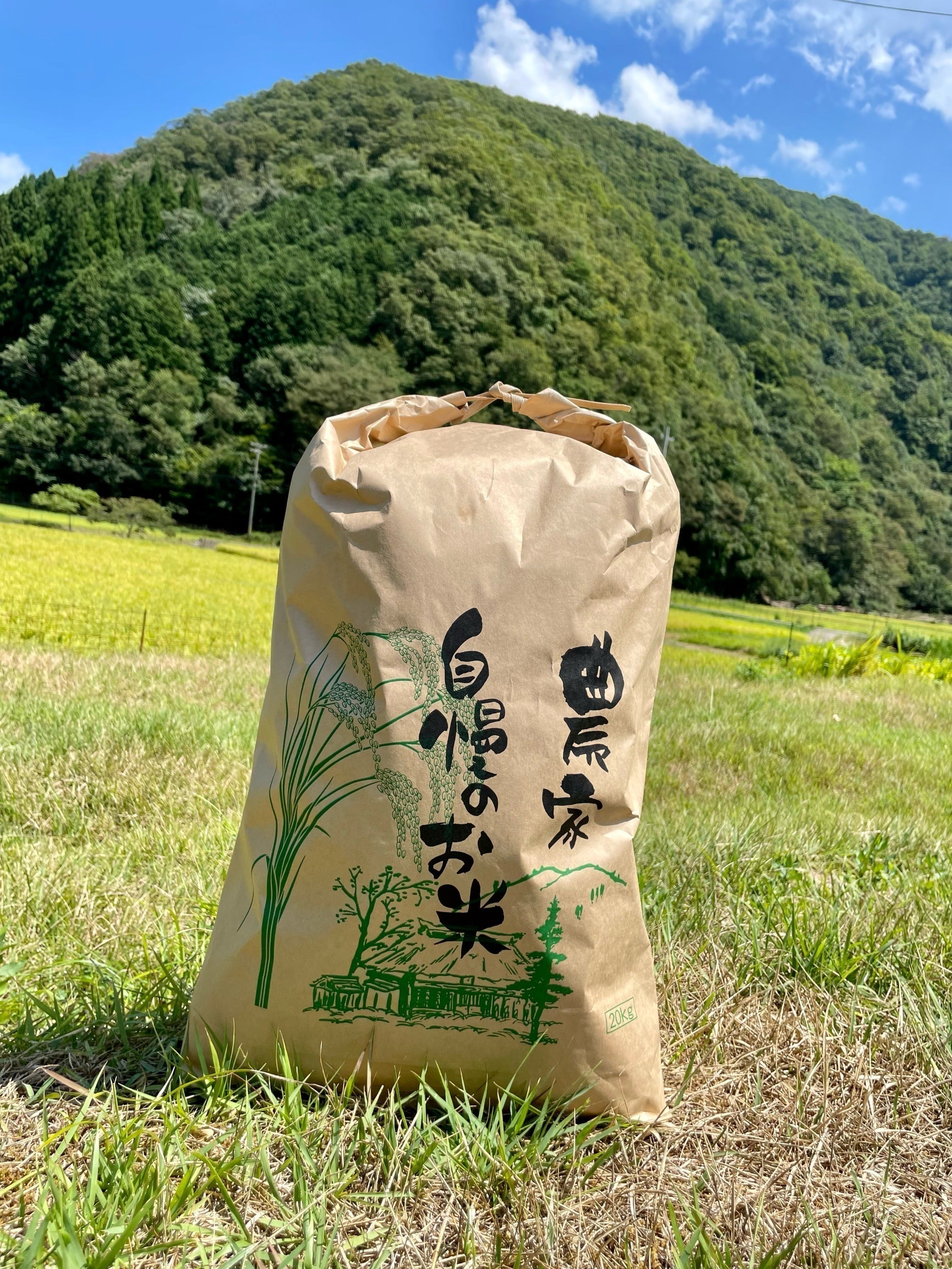 リターン画像