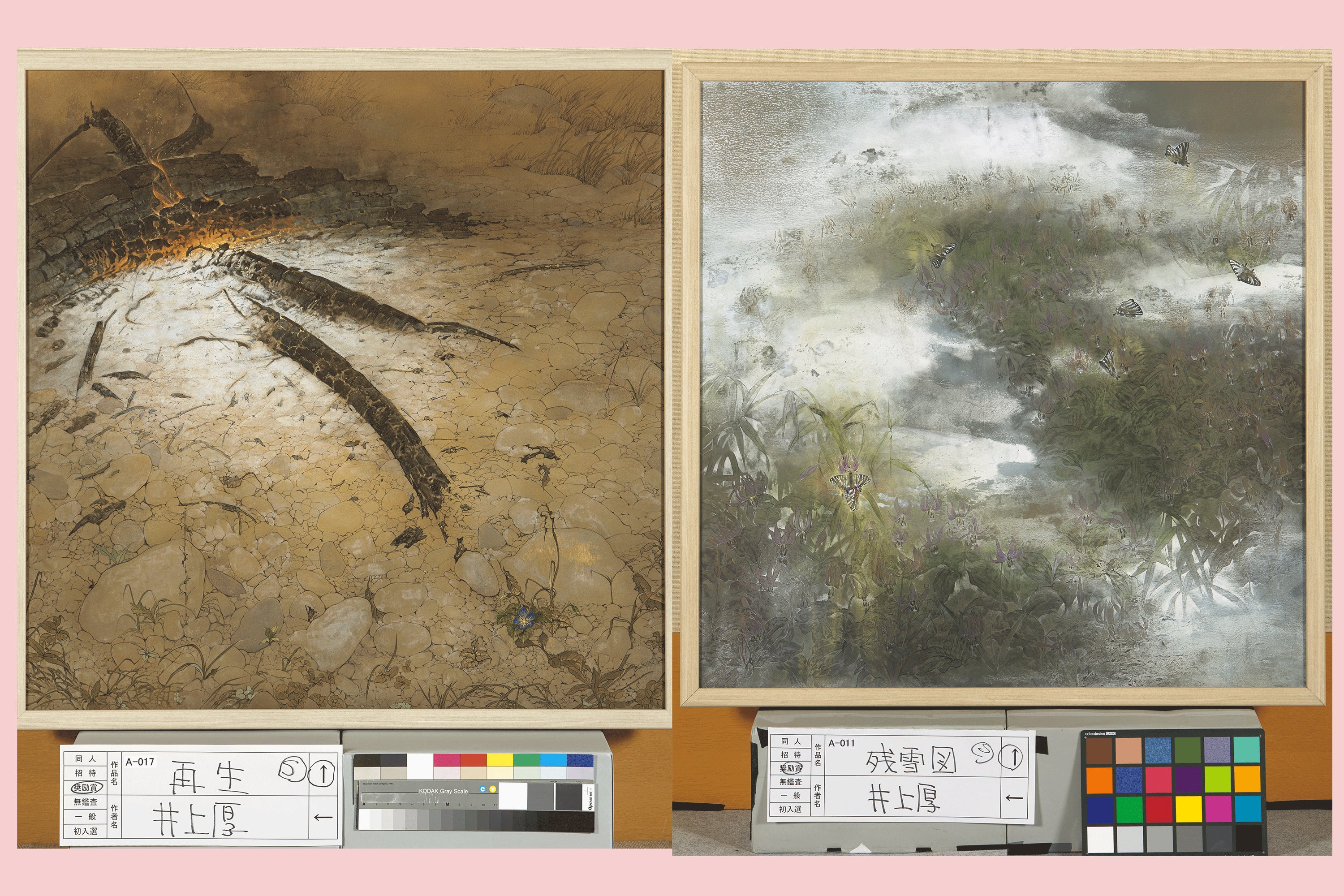 水族館魚類画図譜100彩の原画制作を完結させる（あと12種で100