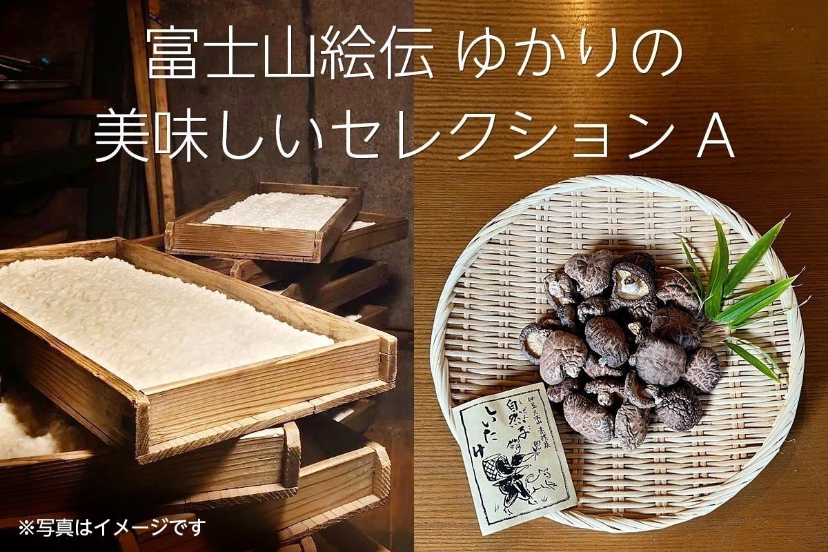 リターン画像