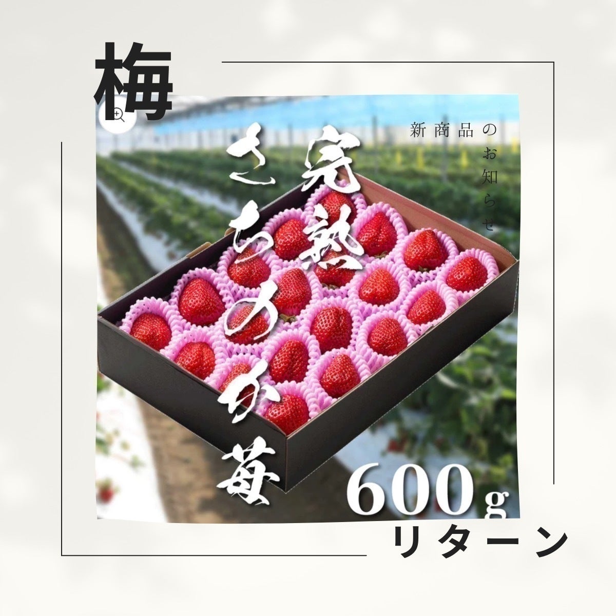 リターン画像